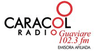 Caracol Radio Guaviare